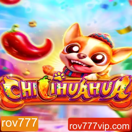 CHILIHUAHUA: Como Jogar e Entender Este Novo Jogo Empolgante